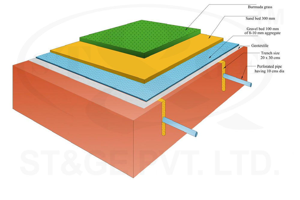 Natural grass overview
