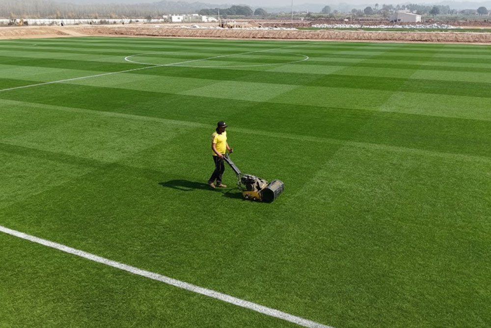 Natural grass overview