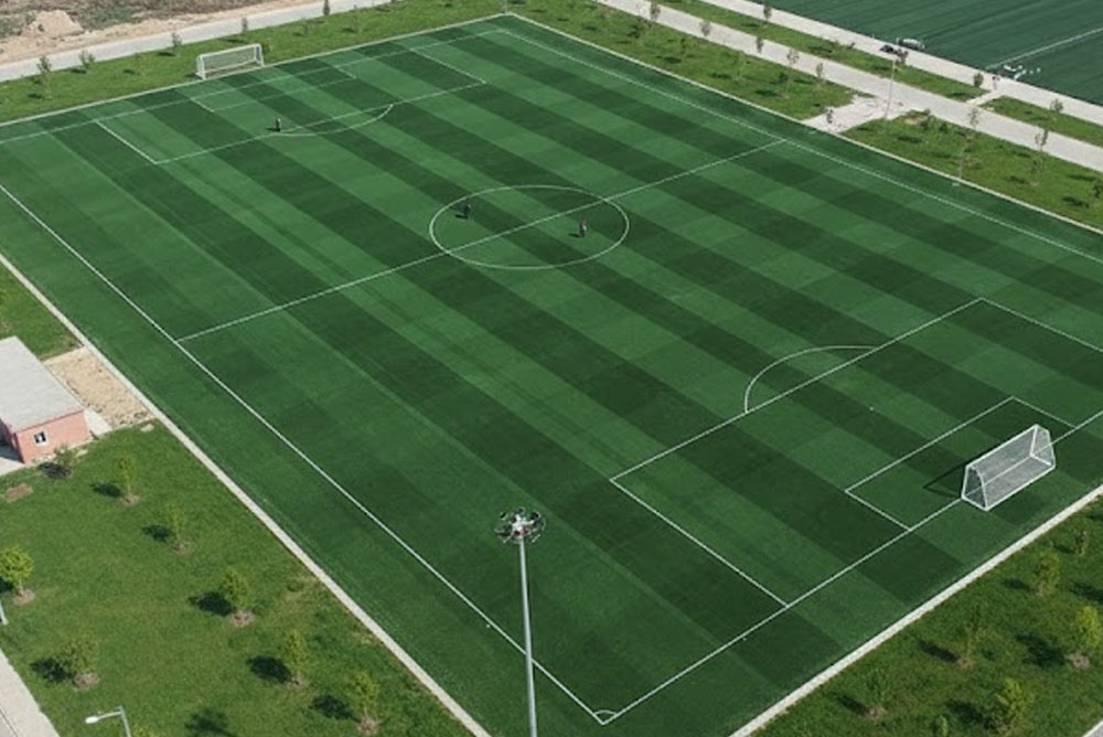 Natural grass overview